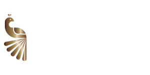 Art Casino Review