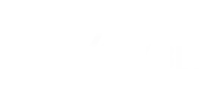 Bally Bet