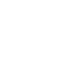 Bet It All Casino Review