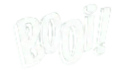 Booi