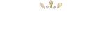 Exclusive Casino Review
