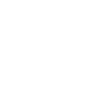 Jackpot Joy Casino