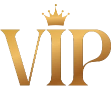 Vipcasino Review
