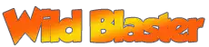 Wild Blaster Casino Review