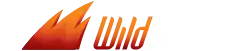 WildSlots Casino logo