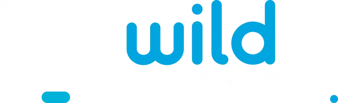 WildTornado Casino