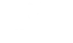 Wolfbet Casino Review