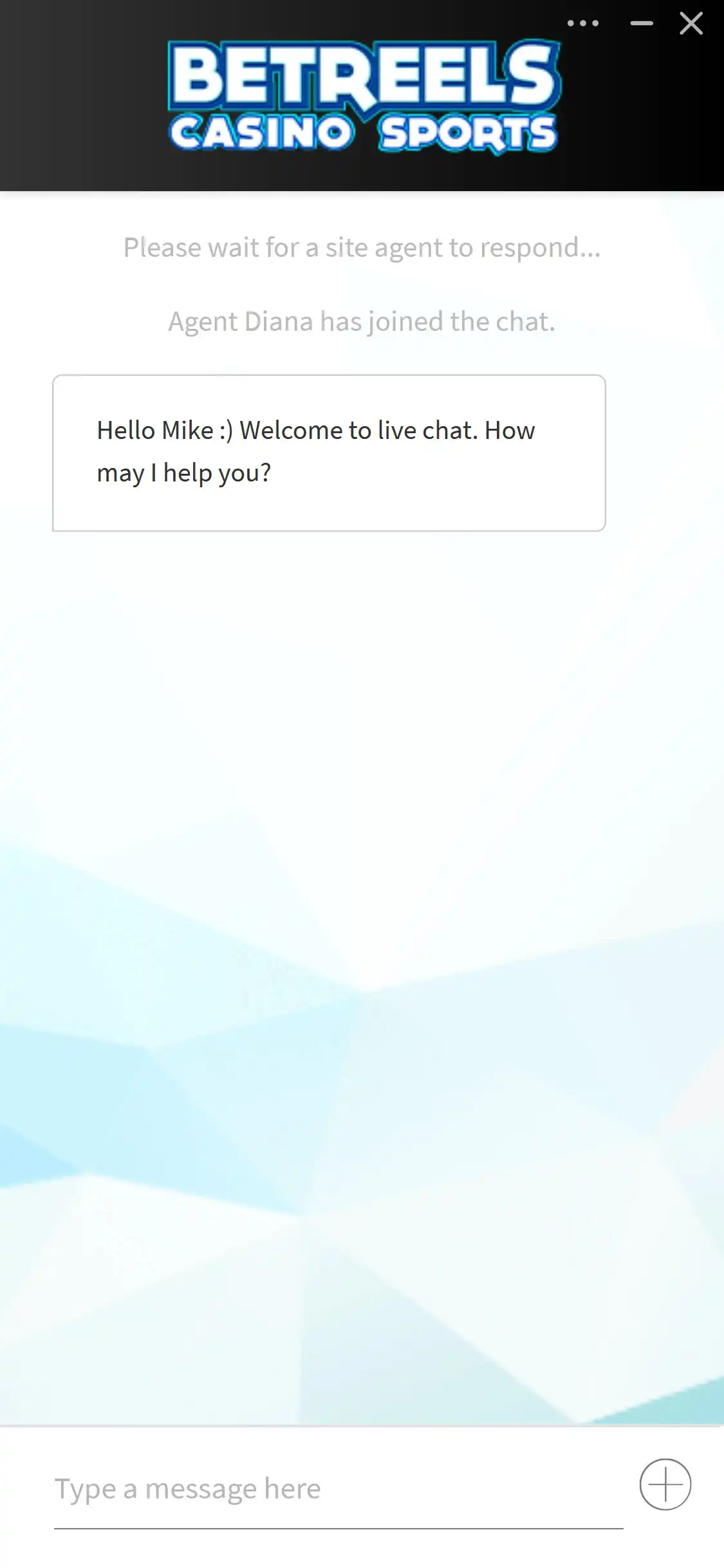 Betreels Casino Mobile Support Review