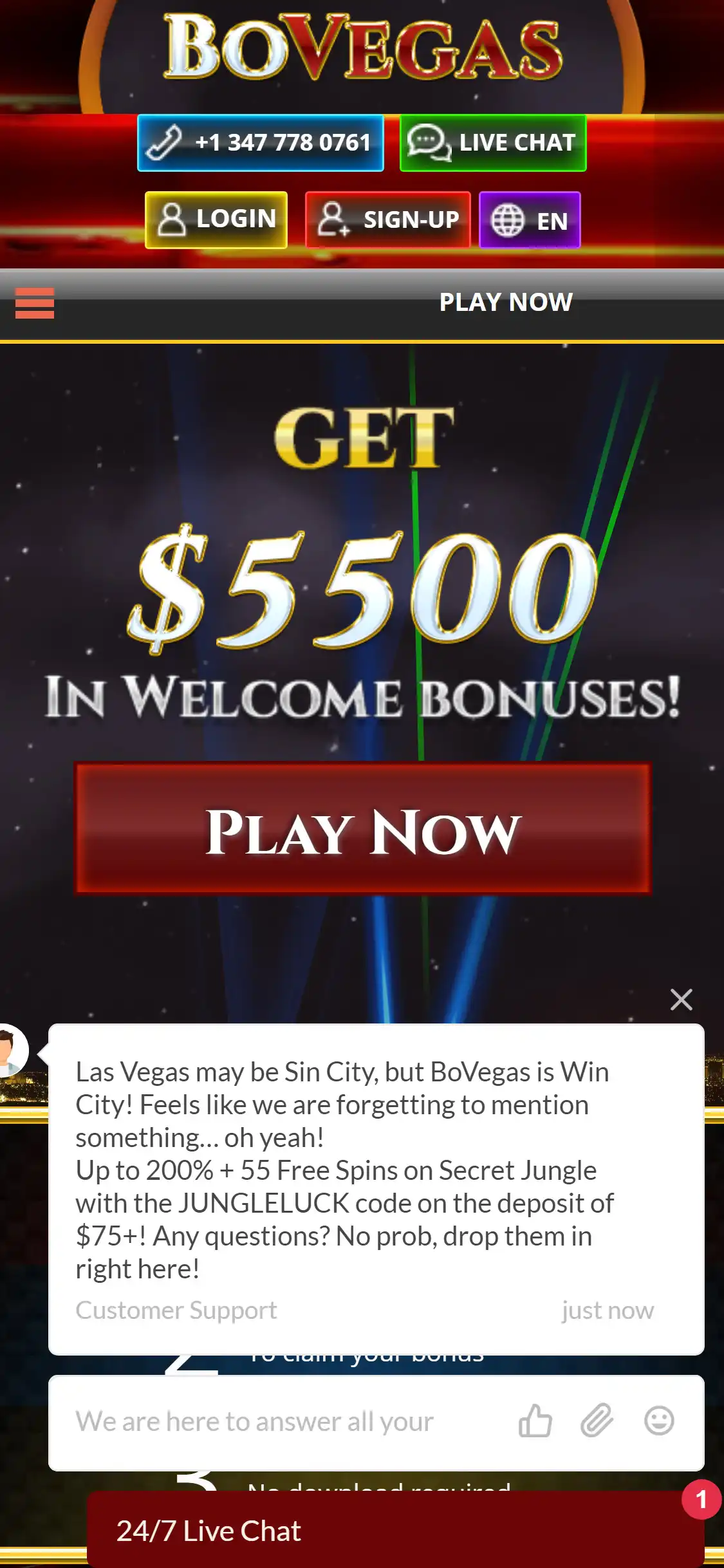BoVegas Mobile Support Review