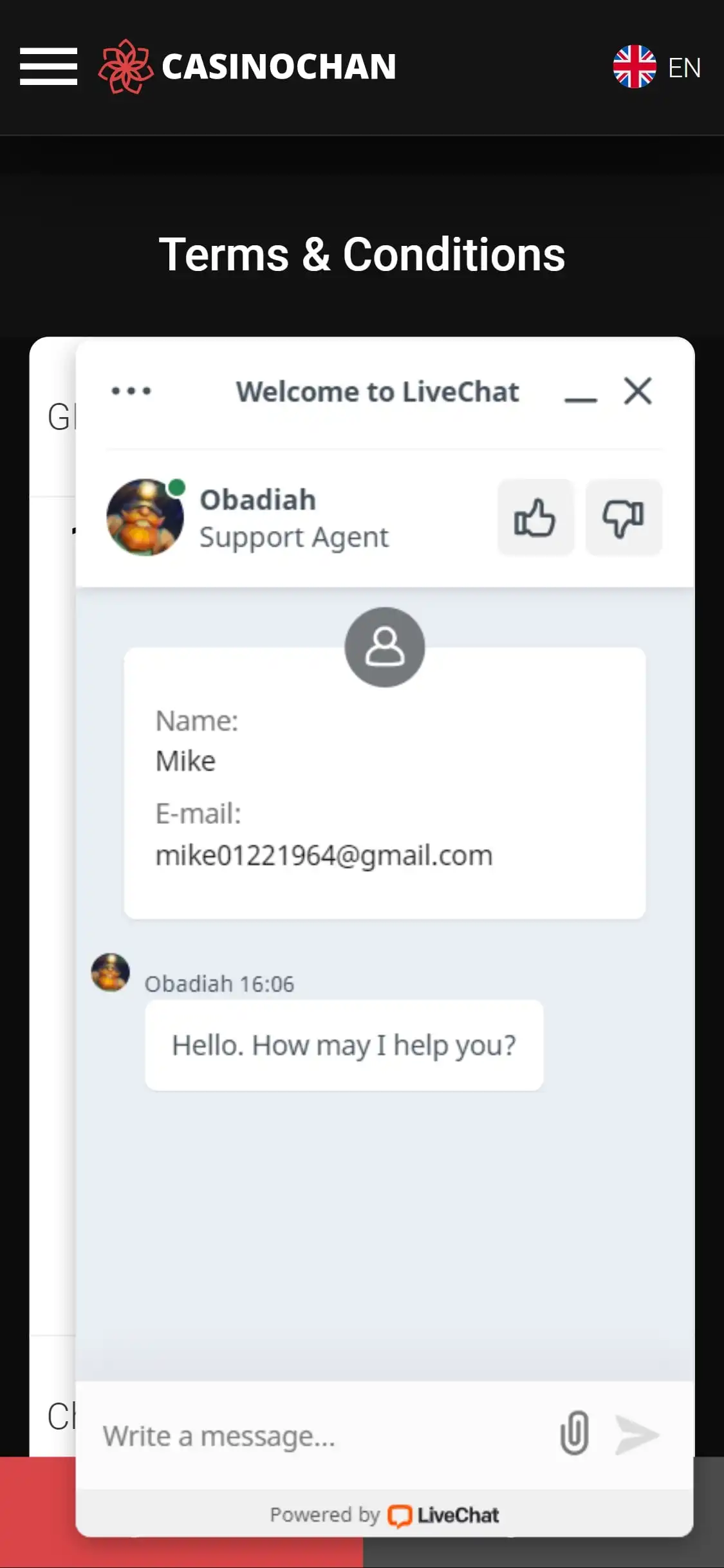 Casinochan Mobile Support Review
