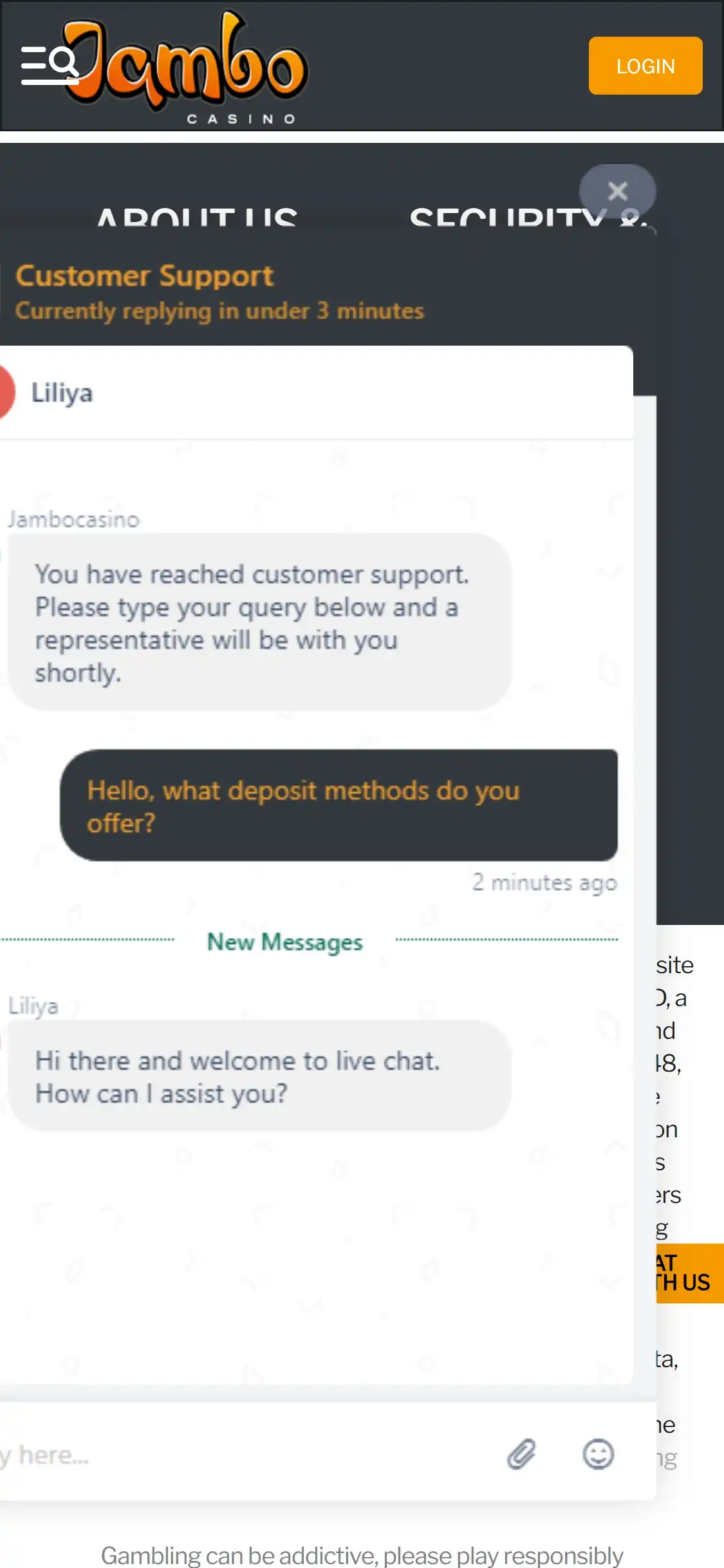 Jambo Casino Mobile Support Review