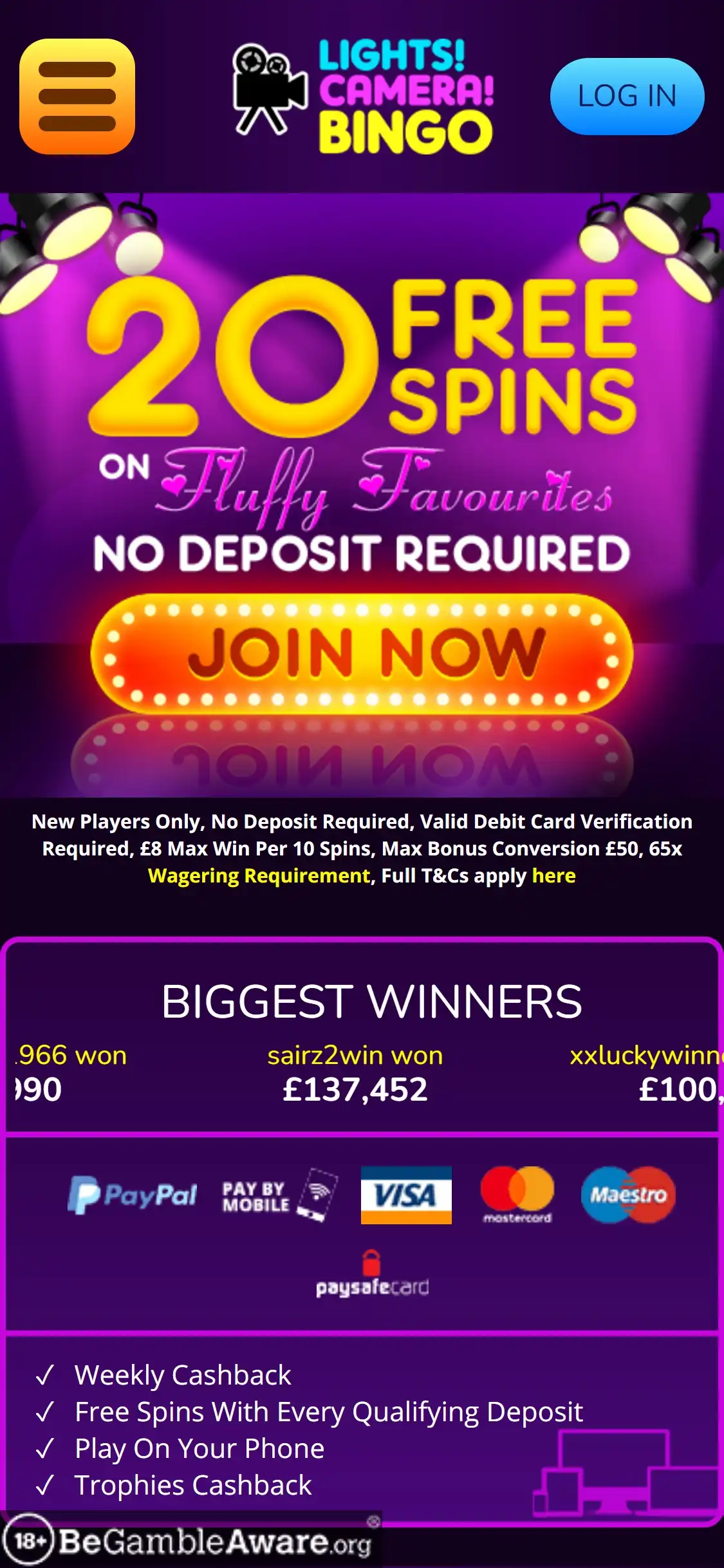 Lights Camera Bingo Casino Mobile Review