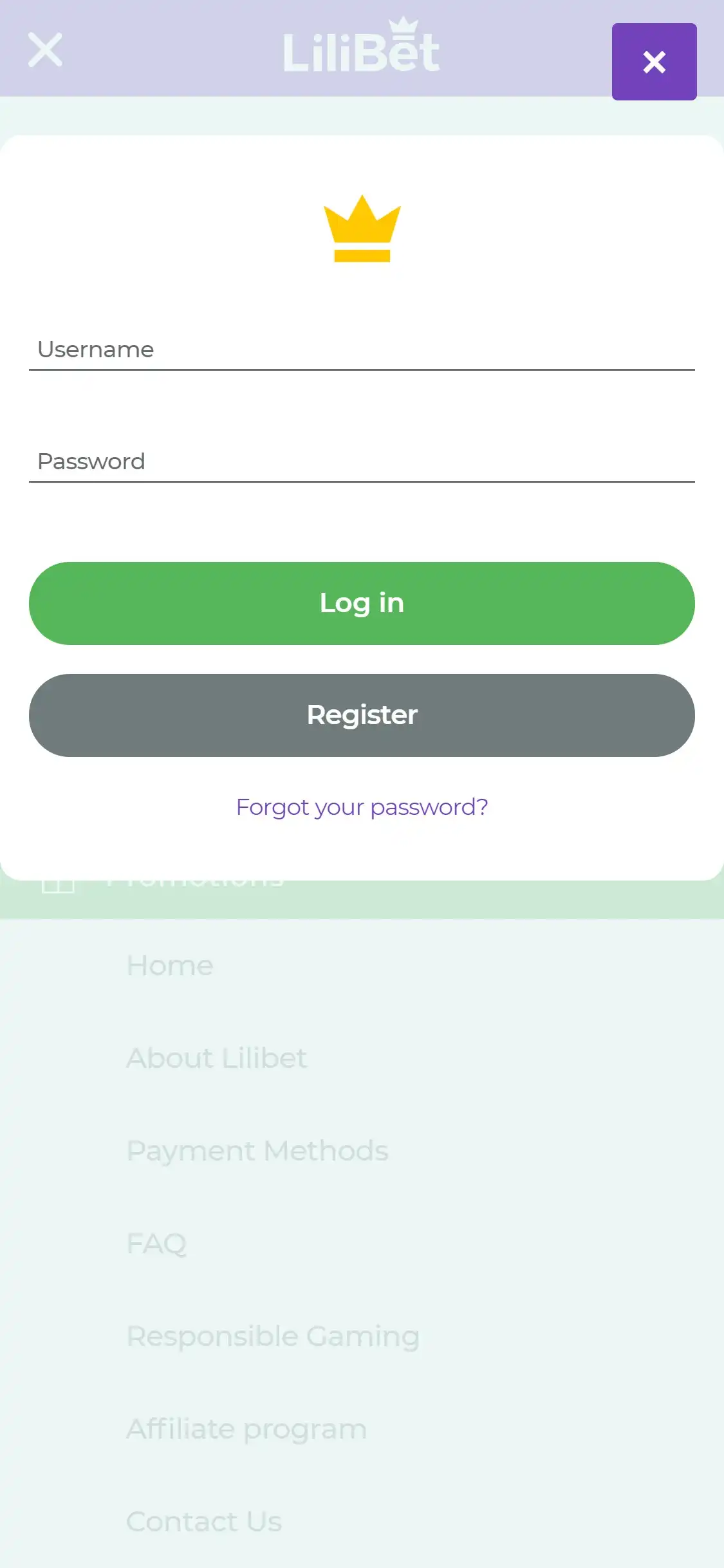 Lilibet Casino Mobile Login Review