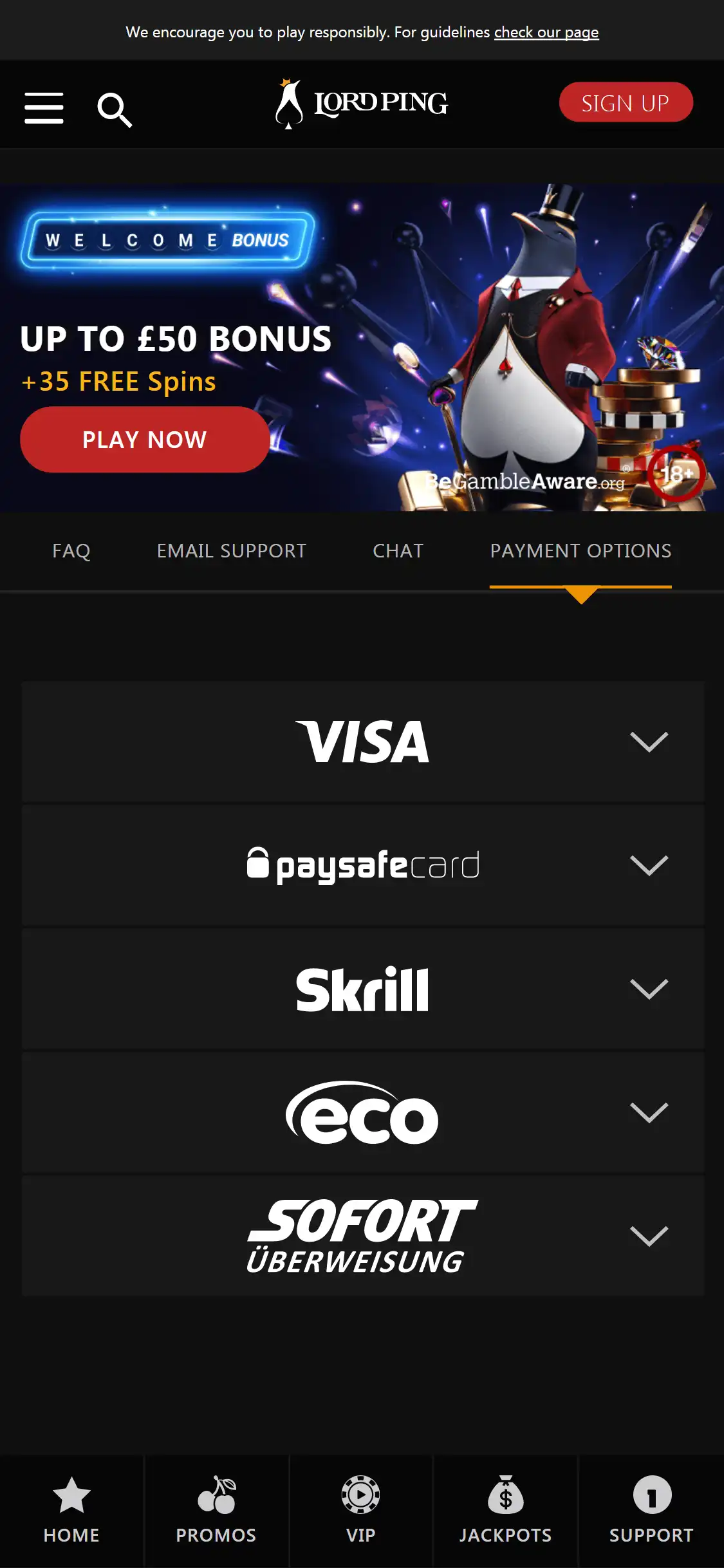 Lordping Casino Mobile Payment Methods Review