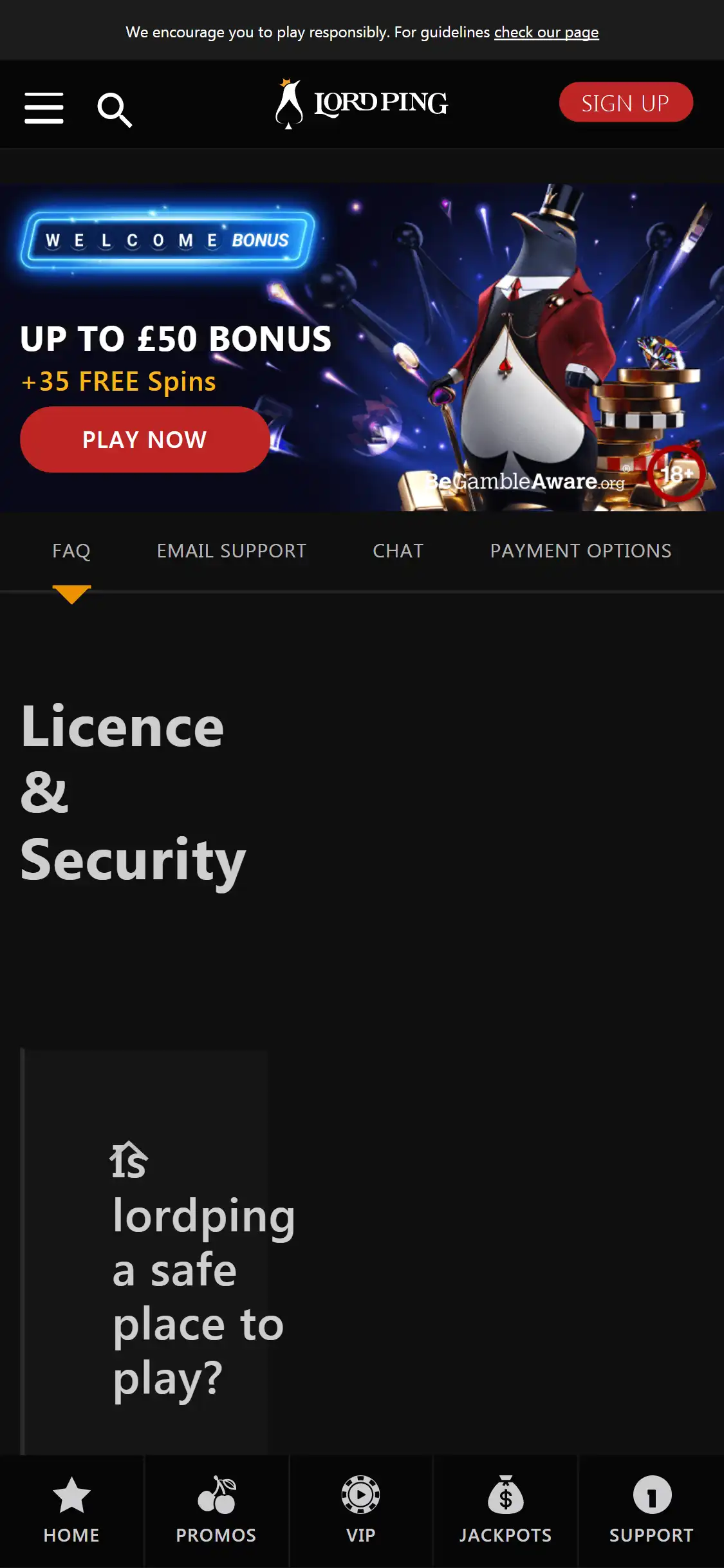 Lordping Casino Mobile Support Review