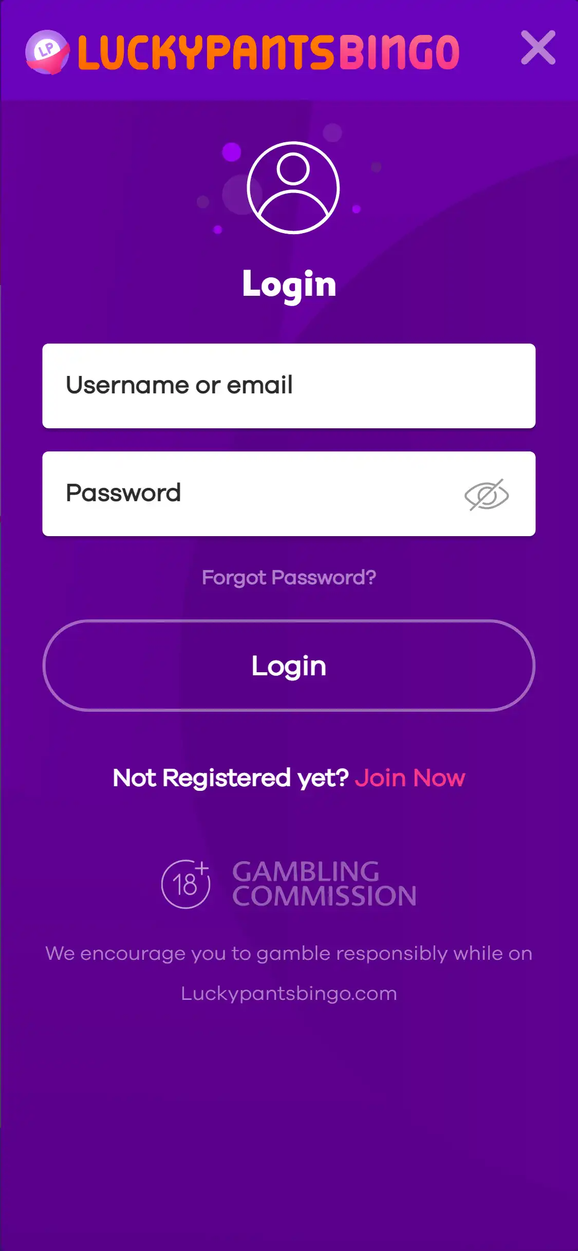 LuckyPantsBingo Casino Mobile Login Review