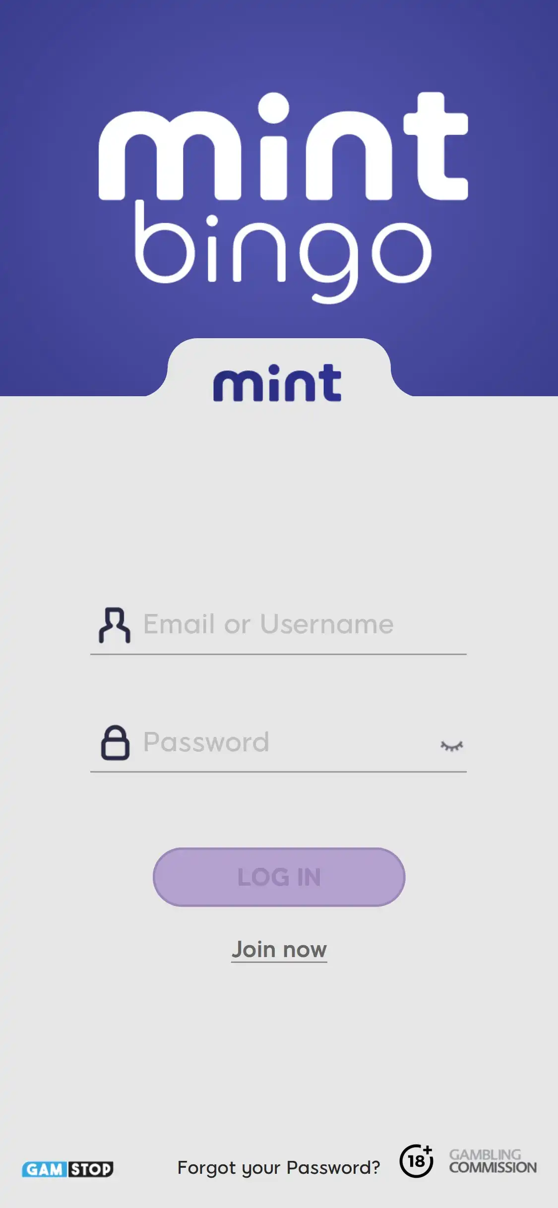 MintBingo Casino Mobile Login Review