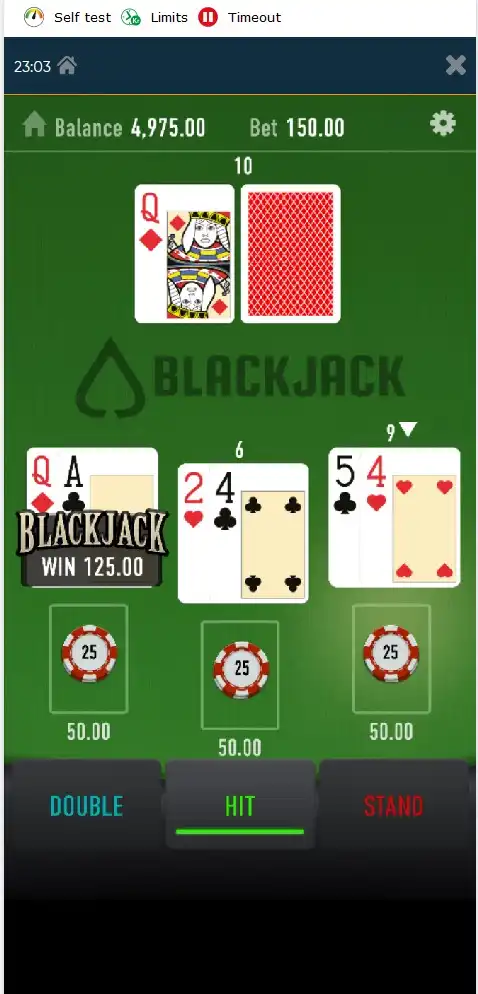 Speedy Casino Mobile Slots Review