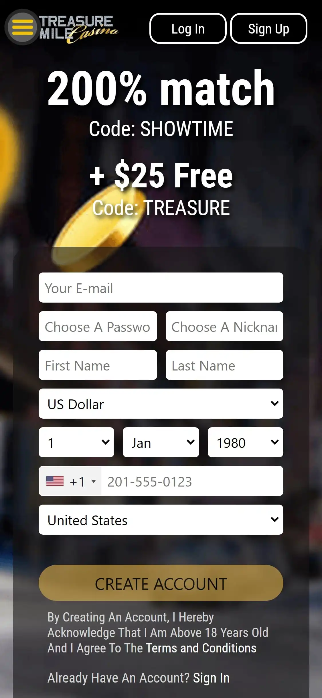 Treasure Mile Casino Mobile Review